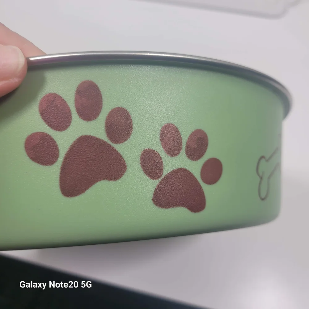 Stainless Steel Dog Bowls with Green and Red Paw Print Design